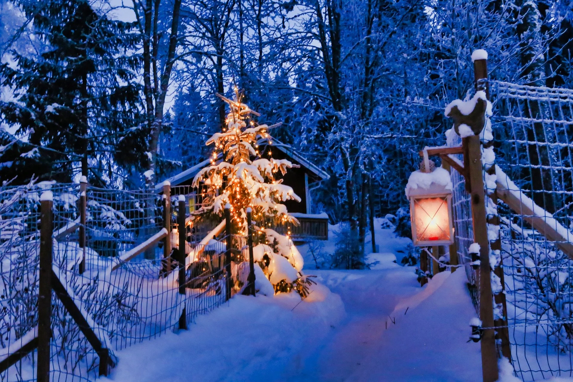 Traditions are like Folk Songs