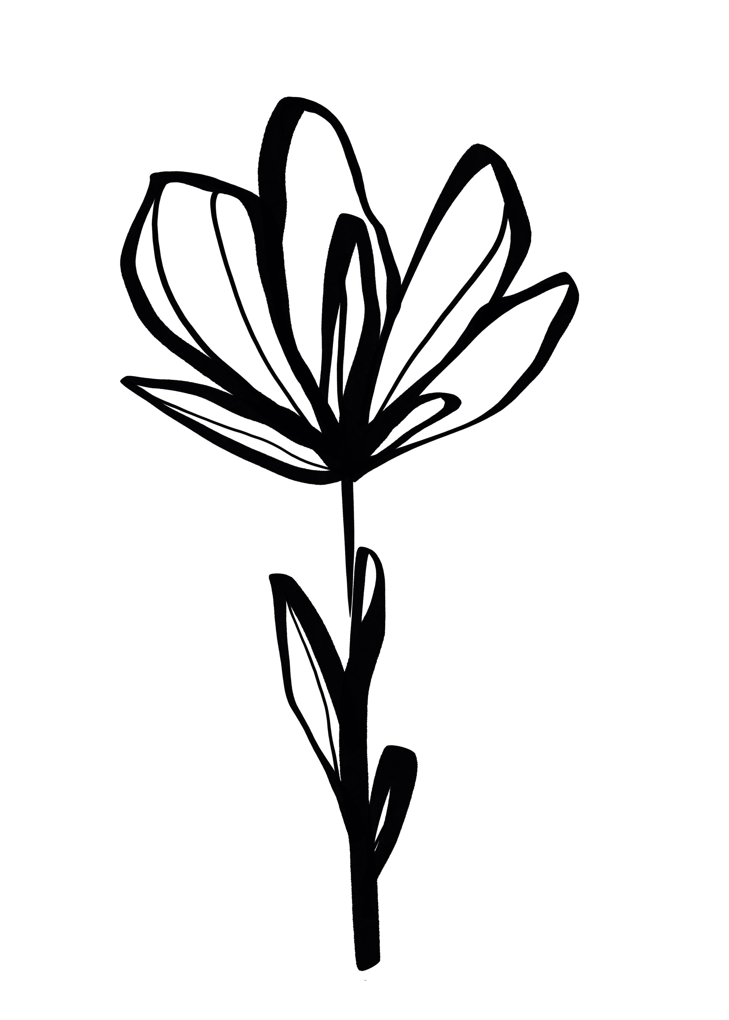 Untitled_Artwork (12).png