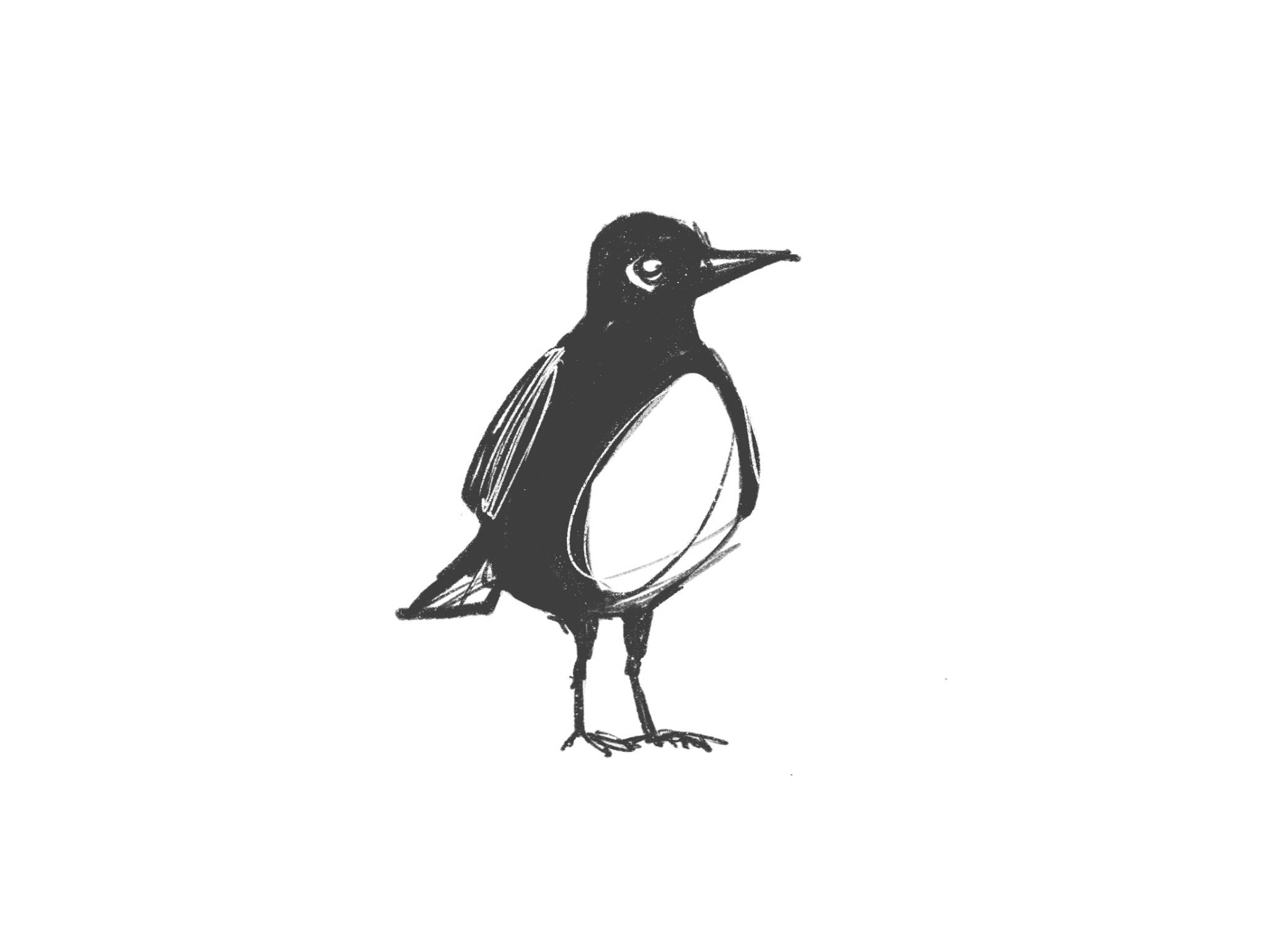 Vivianne Medeiros_Illustration_sketch_birds_06.jpg