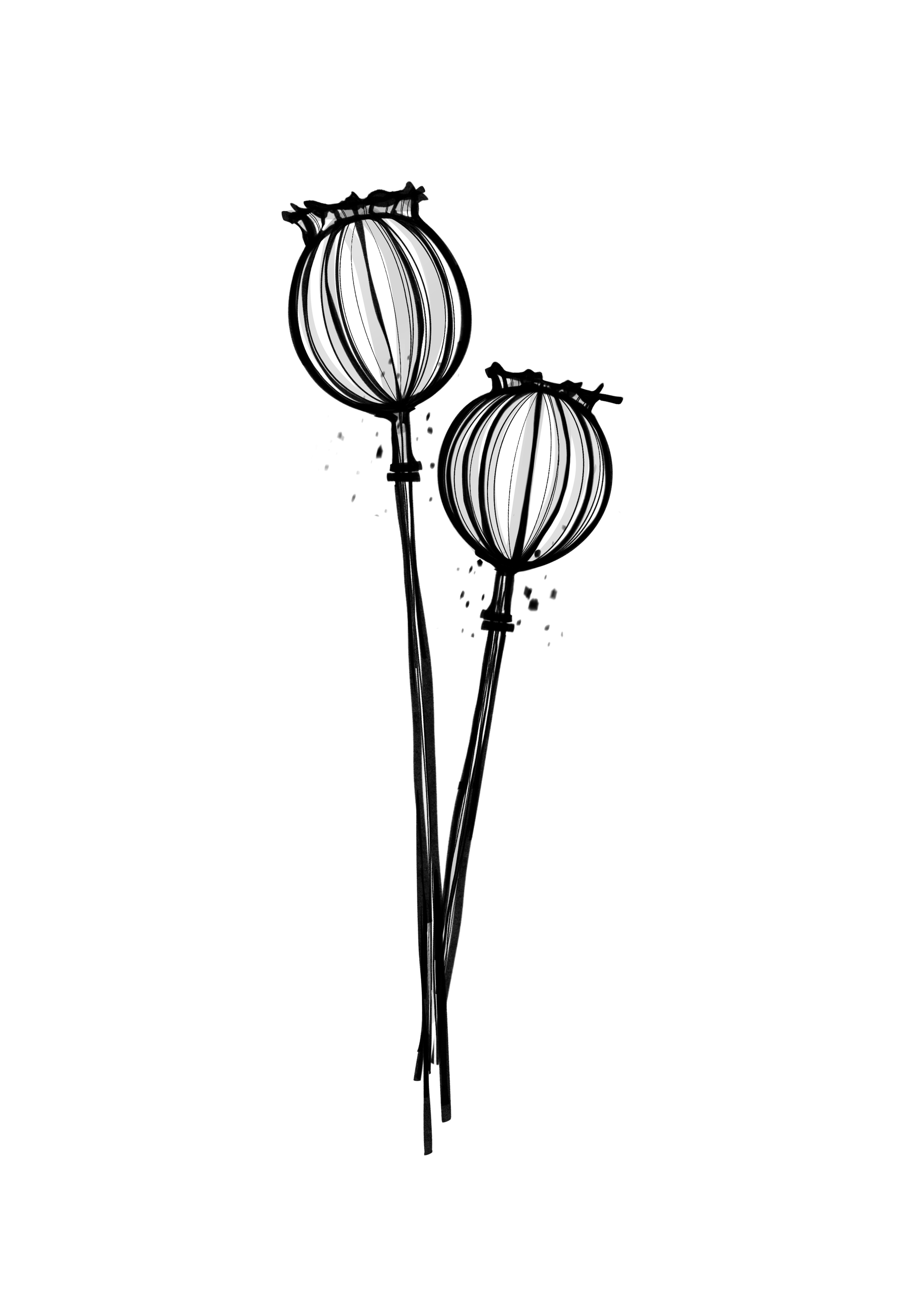 Untitled_Artwork (19).png