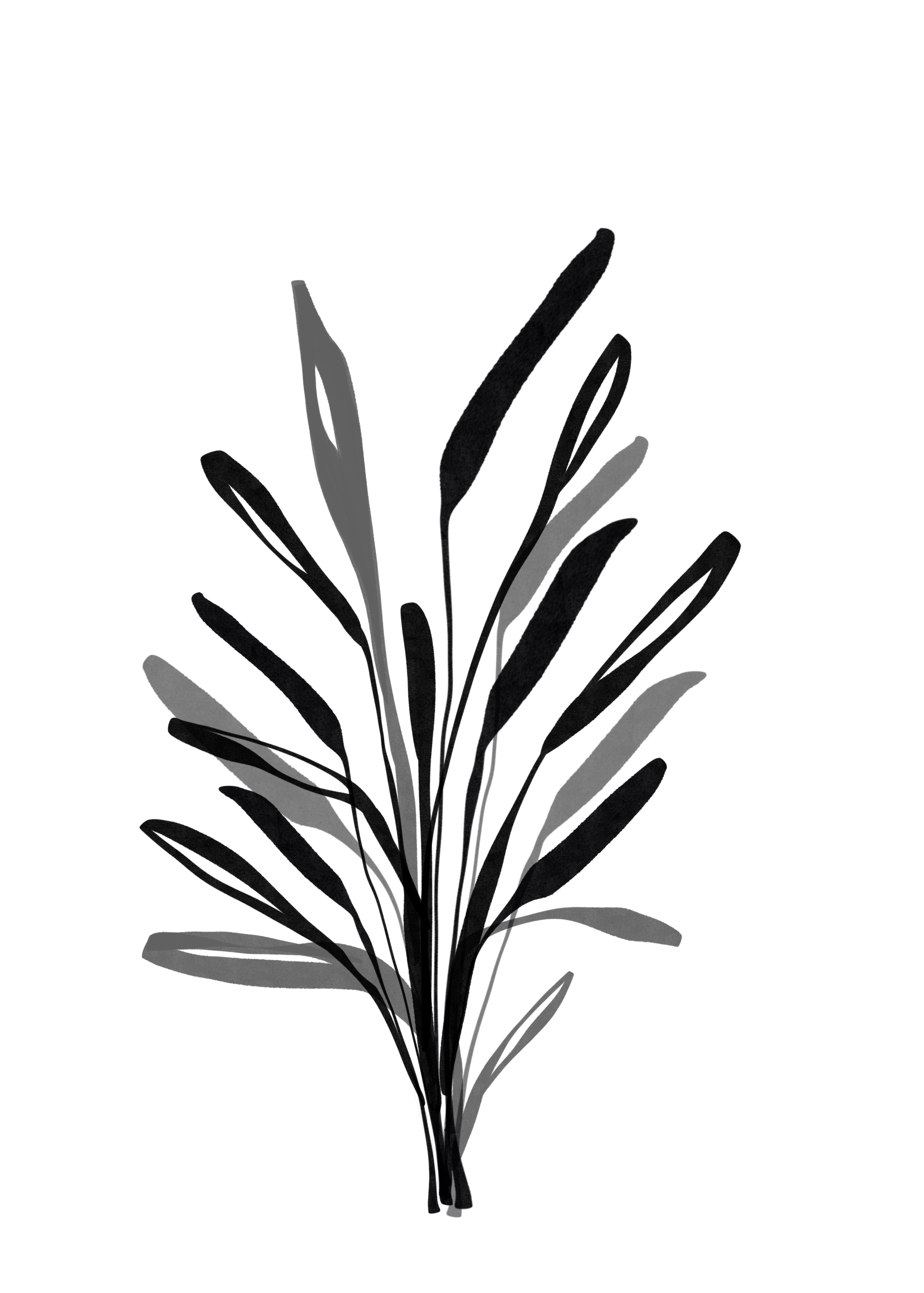 41A06015-0CB3-4EA3-9FF2-F5A0C79293CF.png