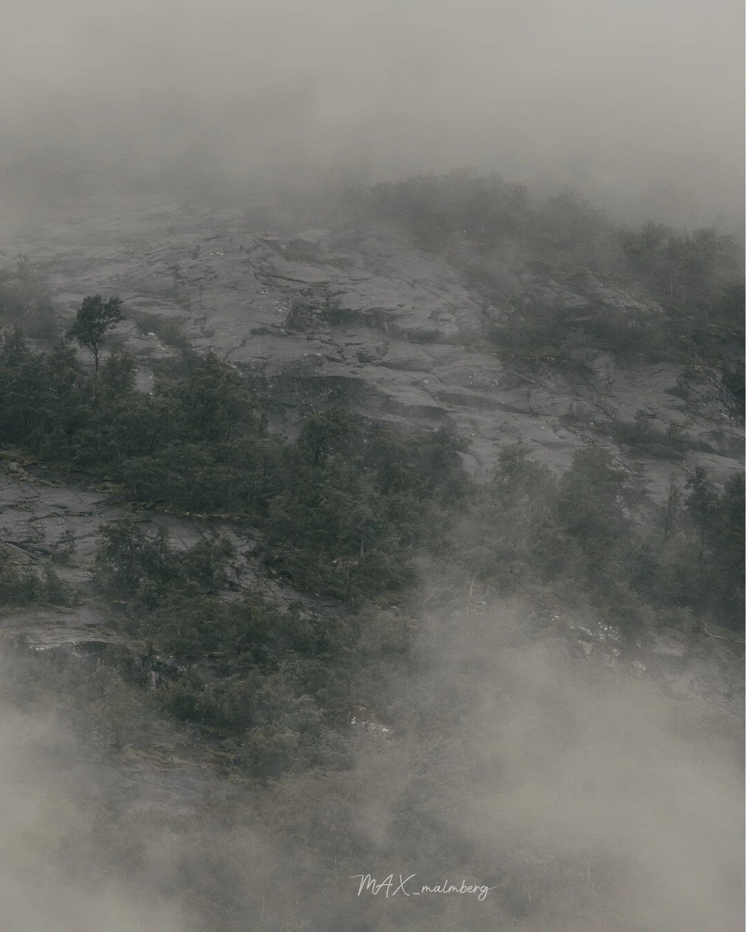 -------------------------------------------
EXIF:
200mm
1/1000
F/4.0
ISO 400
-------------------------------------------
#naturephotography #nature #exploreeverything
#exploreeverywhere #keepexploring #norway
#nomadict #pixelandlens #magasin_no #raw_