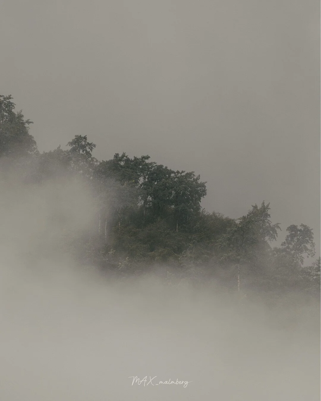 -------------------------------------------
EXIF:
200mm
1/1000
F/4.0
ISO 250
-------------------------------------------
#naturephotography #nature #exploreeverything
#exploreeverywhere #keepexploring #norway
#nomadict #pixelandlens #magasin_no #raw_