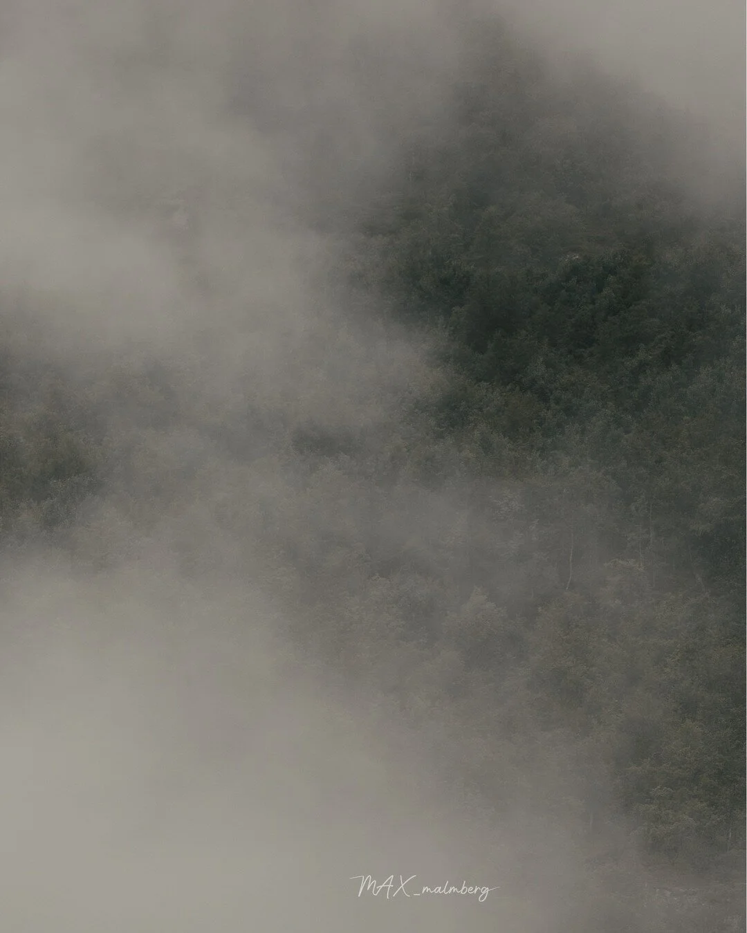 -------------------------------------------
EXIF:
200mm
1/800
F/4.0
ISO 320
-------------------------------------------
#naturephotography #nature #exploreeverything
#exploreeverywhere #keepexploring #norway
#nomadict #pixelandlens #magasin_no #raw_n