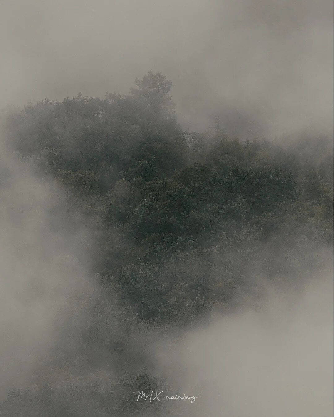 -------------------------------------------
EXIF:
200mm
1/800
F/4.0
ISO 320
-------------------------------------------
#naturephotography #nature #exploreeverything
#exploreeverywhere #keepexploring #norway
#nomadict #pixelandlens #magasin_no #raw_n