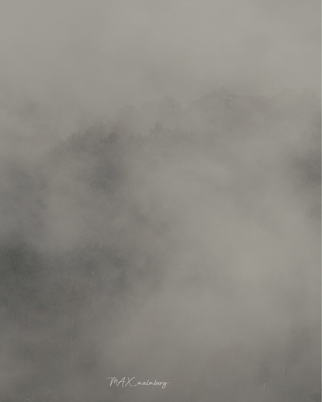 -------------------------------------------
EXIF:
200mm
1/800
F/4.0
ISO 320
-------------------------------------------
#naturephotography #nature #exploreeverything
#exploreeverywhere #keepexploring #norway
#nomadict #pixelandlens #magasin_no #raw_n