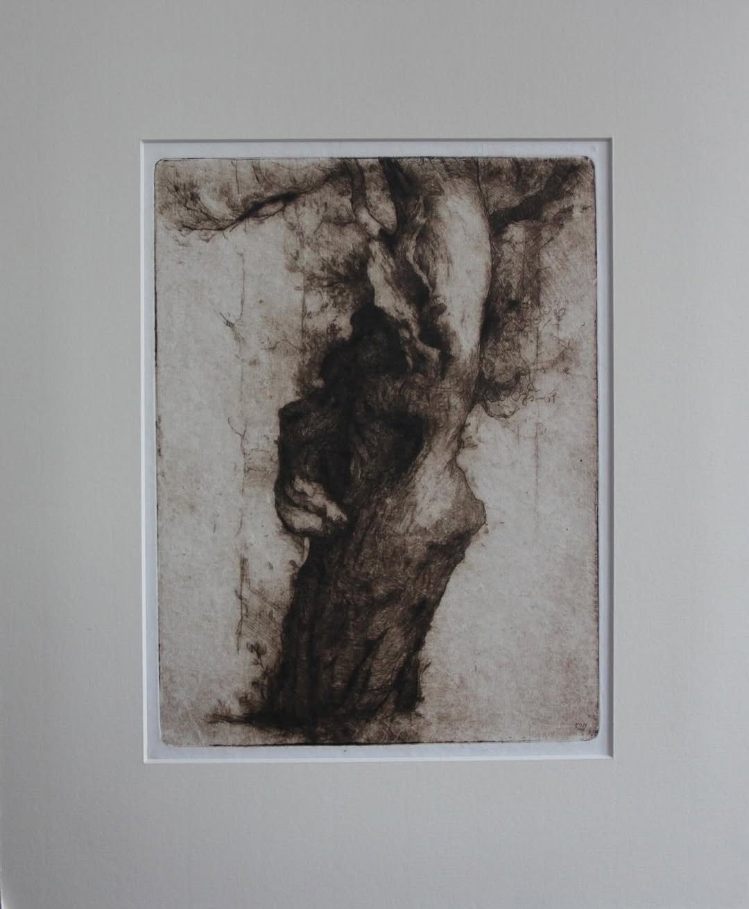 “Study of an Oak” Etching and drypoint, 2008-2010?
18x23.5cm-plus Passpartout