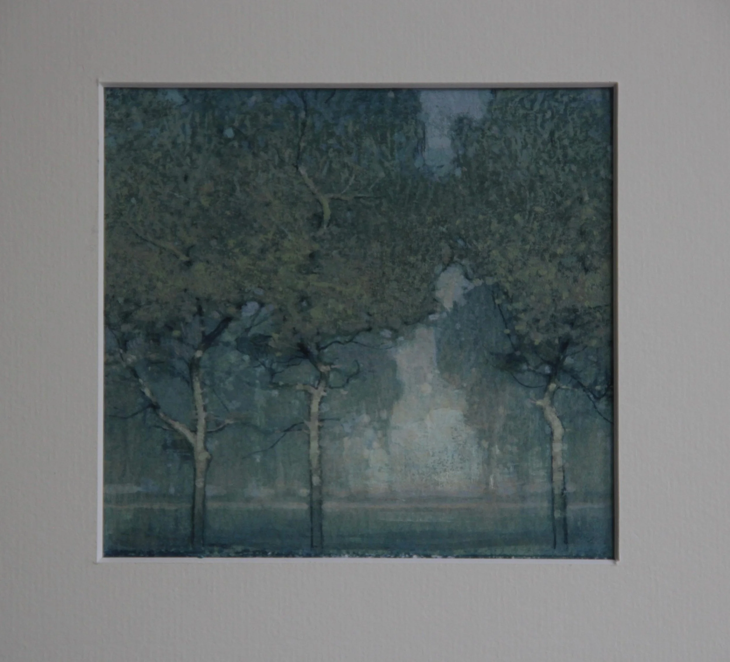 "3 Trees,Evening."
12x13 cm