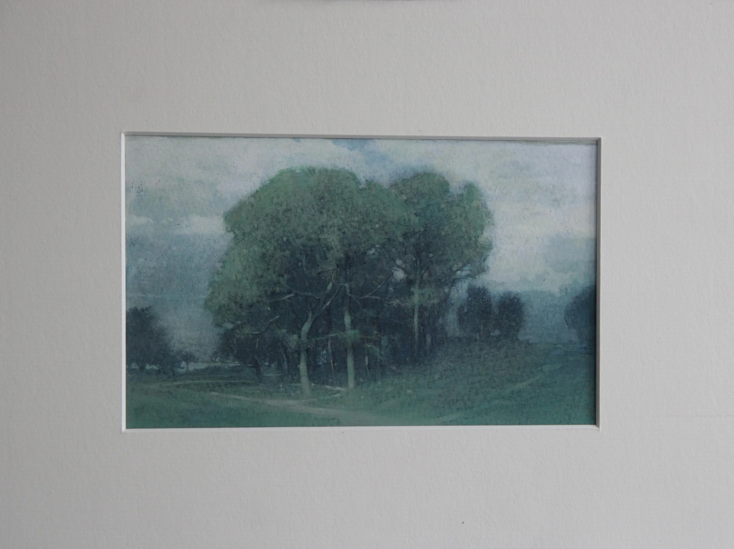 “Summer#2- Beech Grove”
17.5x11cm plus Passpartout.
2025-26