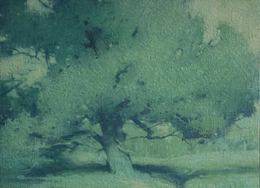 “Spring Oak” 36.5x50cm.
Oil on Panel - 2025-26