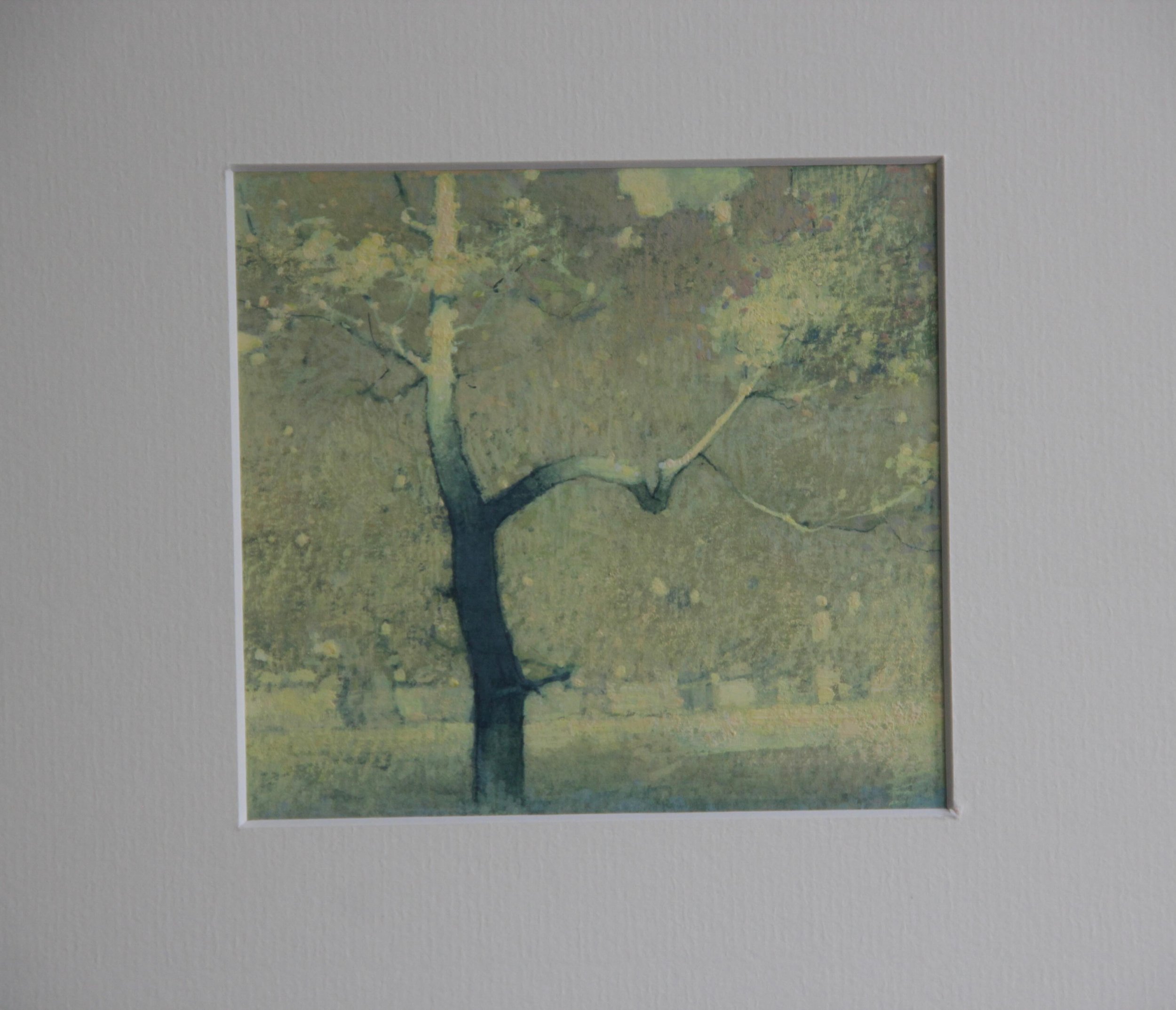  Autumn Gouache # 1
“Poplar and Oaks”
10.5x11.5cm Plus Passpartout