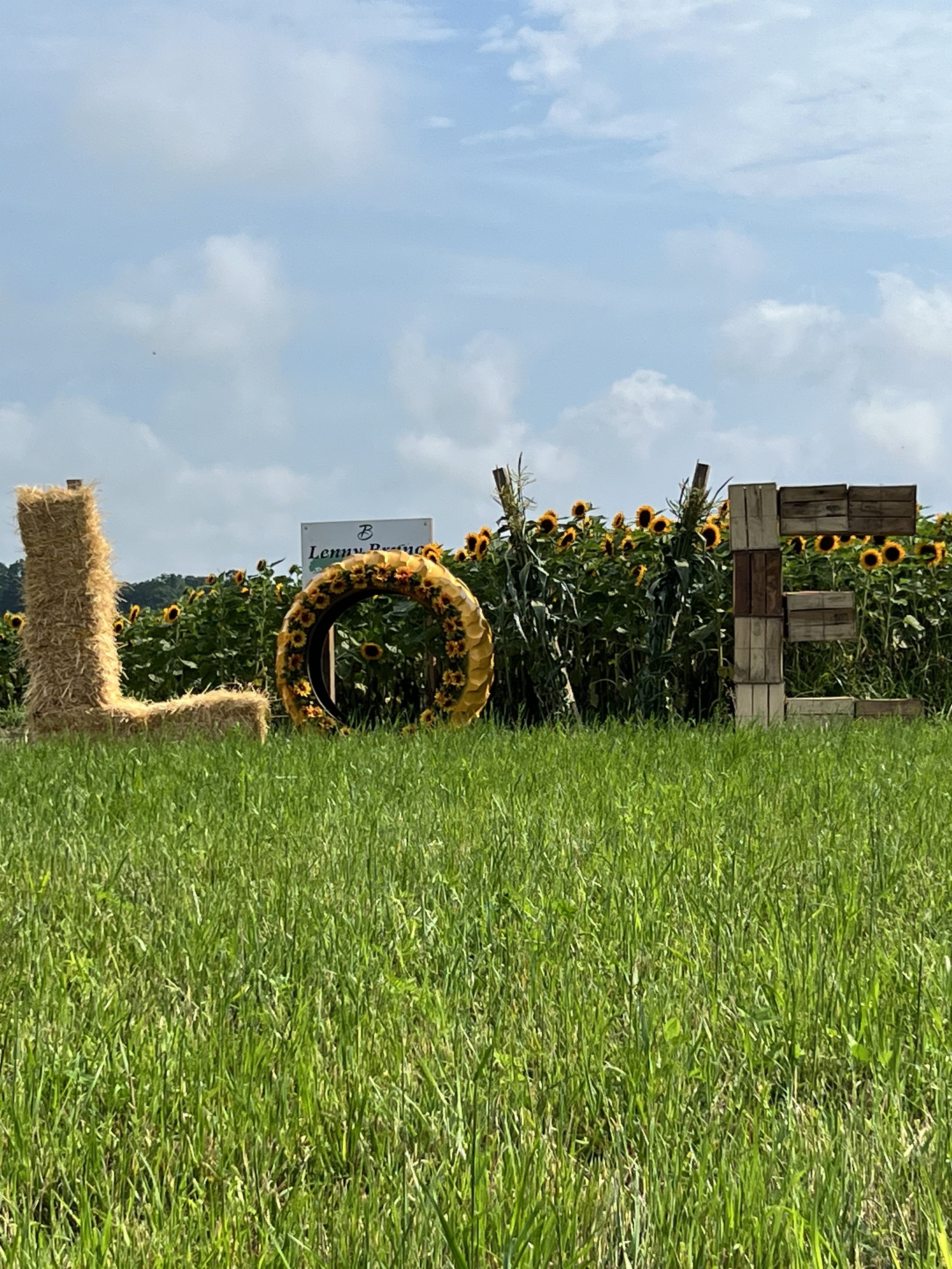 Lenny Bruno’s 2nd Annual Sunflower Festival