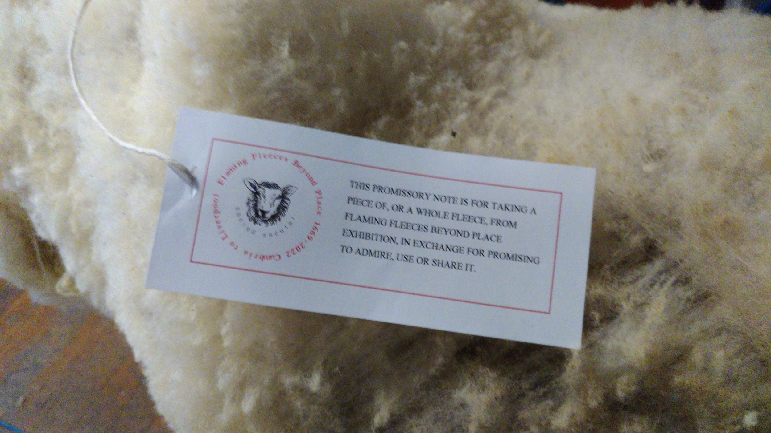 promissory note on fleeces.jpg