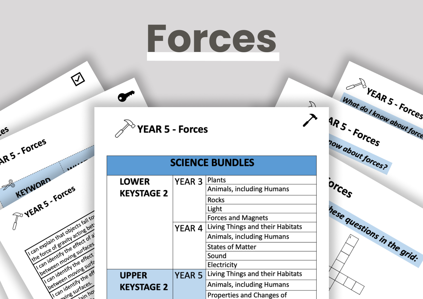 Year 5 Forces-fan.png