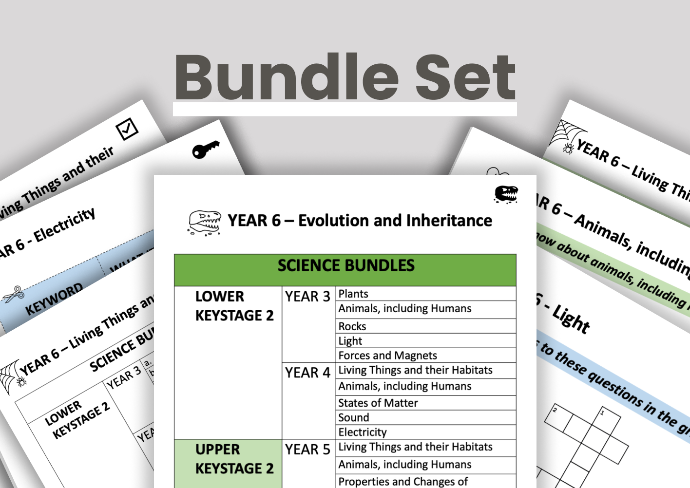 Year 6 Bundle Set Fan.png