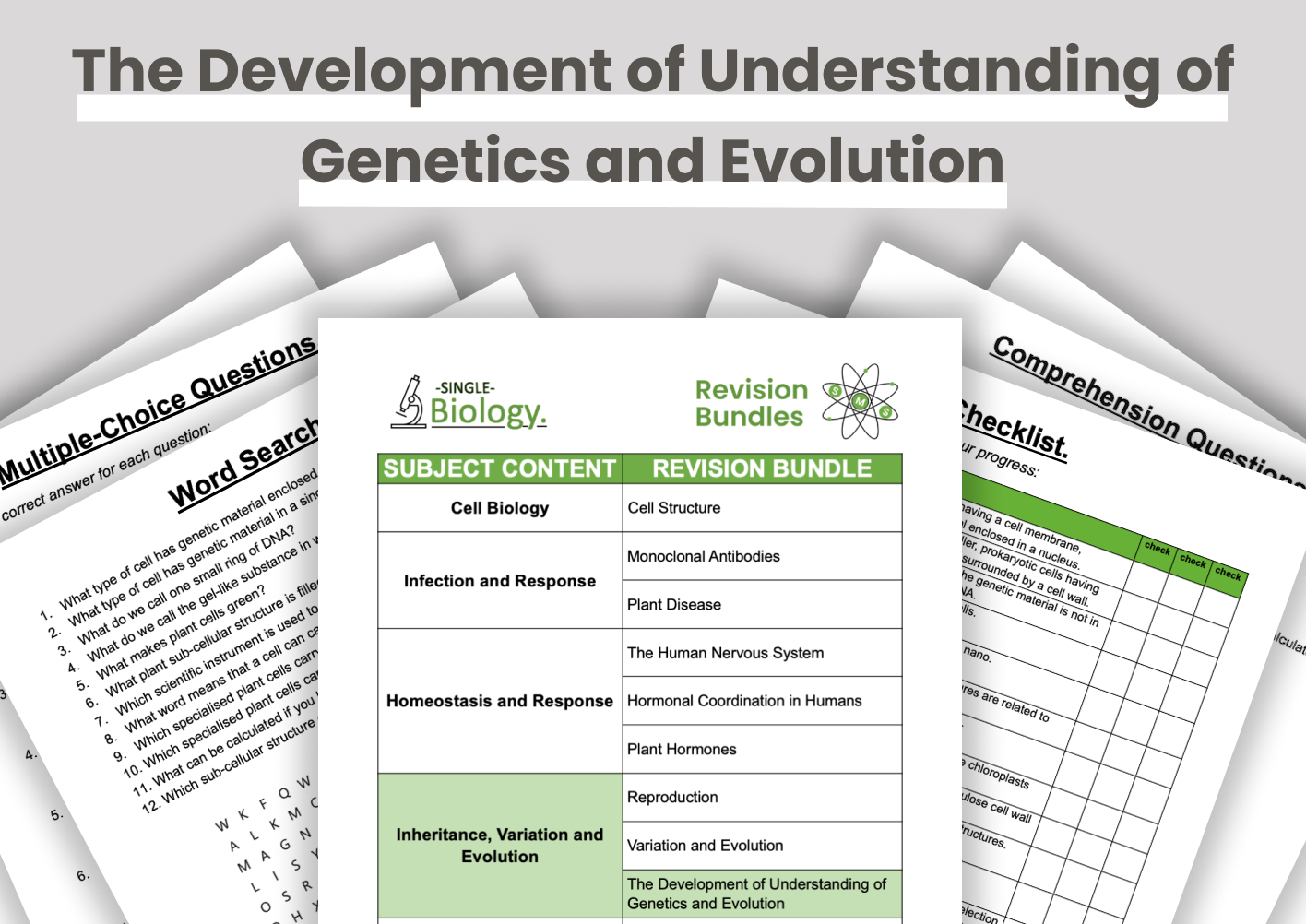 4c SS Development of Understanding.png