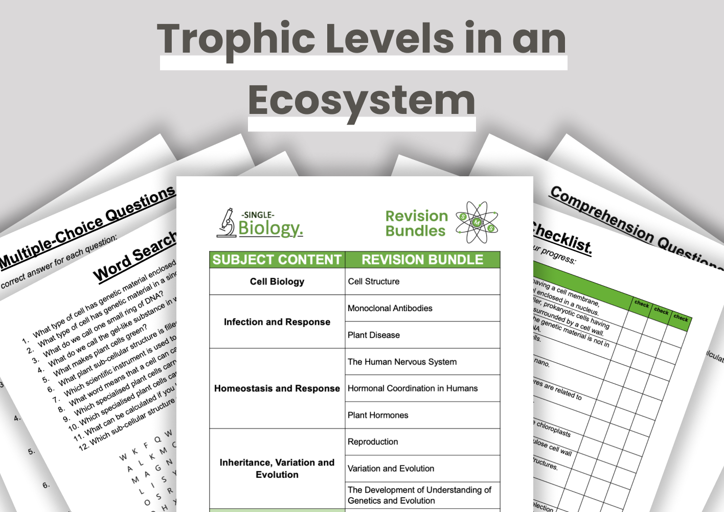 Trophic Levels in an Ecosystem
