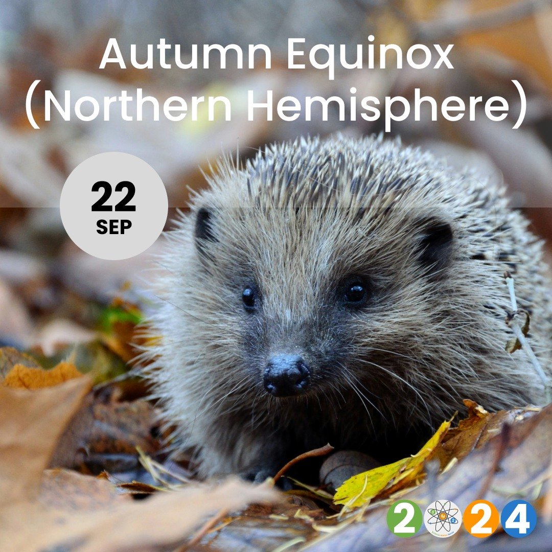 🍁🍁🍁 The Autumn equinox is when day and night will be nearly equal length as our Earth spins side-on to the sun. It marks the beginning of Autumn in the Northern hemisphere (the start of spring in the Southern Hemisphere). 

🌗 The word equinox com