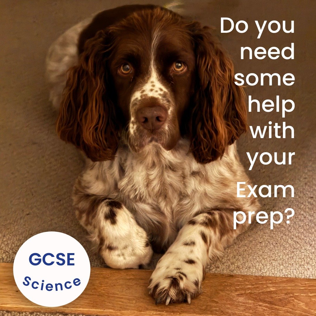 👩&zwj;🔬 Here at Science Makes Sense we want to help you understand science.

❓Have you missed any of your science topics this year?
 
❓Were there any topics that you just didn&rsquo;t quite understand or need to go over again? 

📚 We can help you 