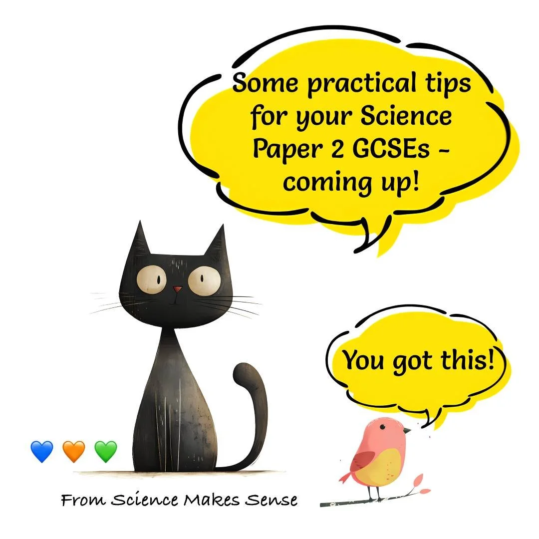🐈&zwj;⬛ 🍀 We hope you are enjoying half term and wish everyone the very best of luck with all their remaining GCSE exams!

If you need any last minute help with your Science revision go to our website where you will find lots of useful revision res