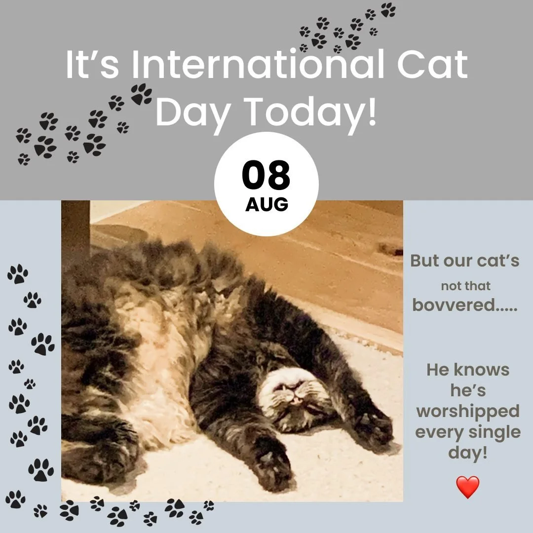 🐈 In the words of the late, great Sir Terry Pratchett- &quot;In ancient times cats were worshipped as gods; they have not forgotten this!&quot;

❤️ Happy International Cat Day from all at Science Makes Sense 🐾
.
.
.
#cats #internationalcatday #revi