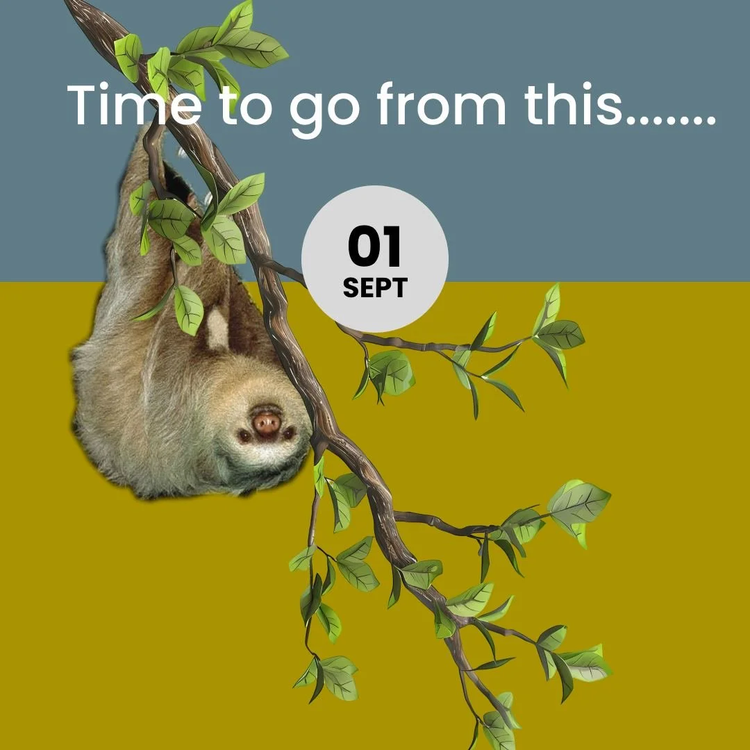 ✏️📐🖇️ Its that time of year again! So grab your new pencil case and go for it!

🦥 But if you are still feeling a bit too chilled and need some motivation- head to our website for some help with your science lessons 🧪

You know it makes sense! 💚?
