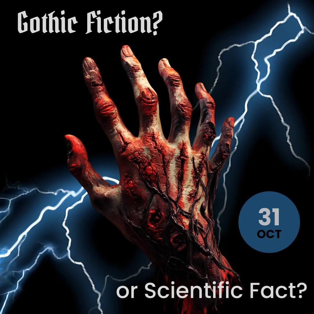 🦇The nights are drawing in and there is a great deal of orange and black around so unless you are in Claudia&rsquo;s dressing room, it must be Halloween - the ancient pagan festival known as Samhain 🎃

🧟We will soon see the release of yet another 