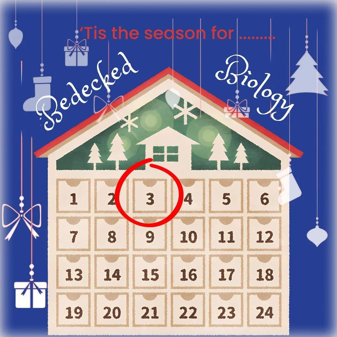 🎄🎅 We hope you are enjoying our Science Christmas countdown, today we have a decorative Biology one!

🦌 Did you know?- There was a runaway reindeer in Merseyside, UK, last weekend. &lsquo;Buddy&rsquo; the reindeer was helping Santa at a Christmas 