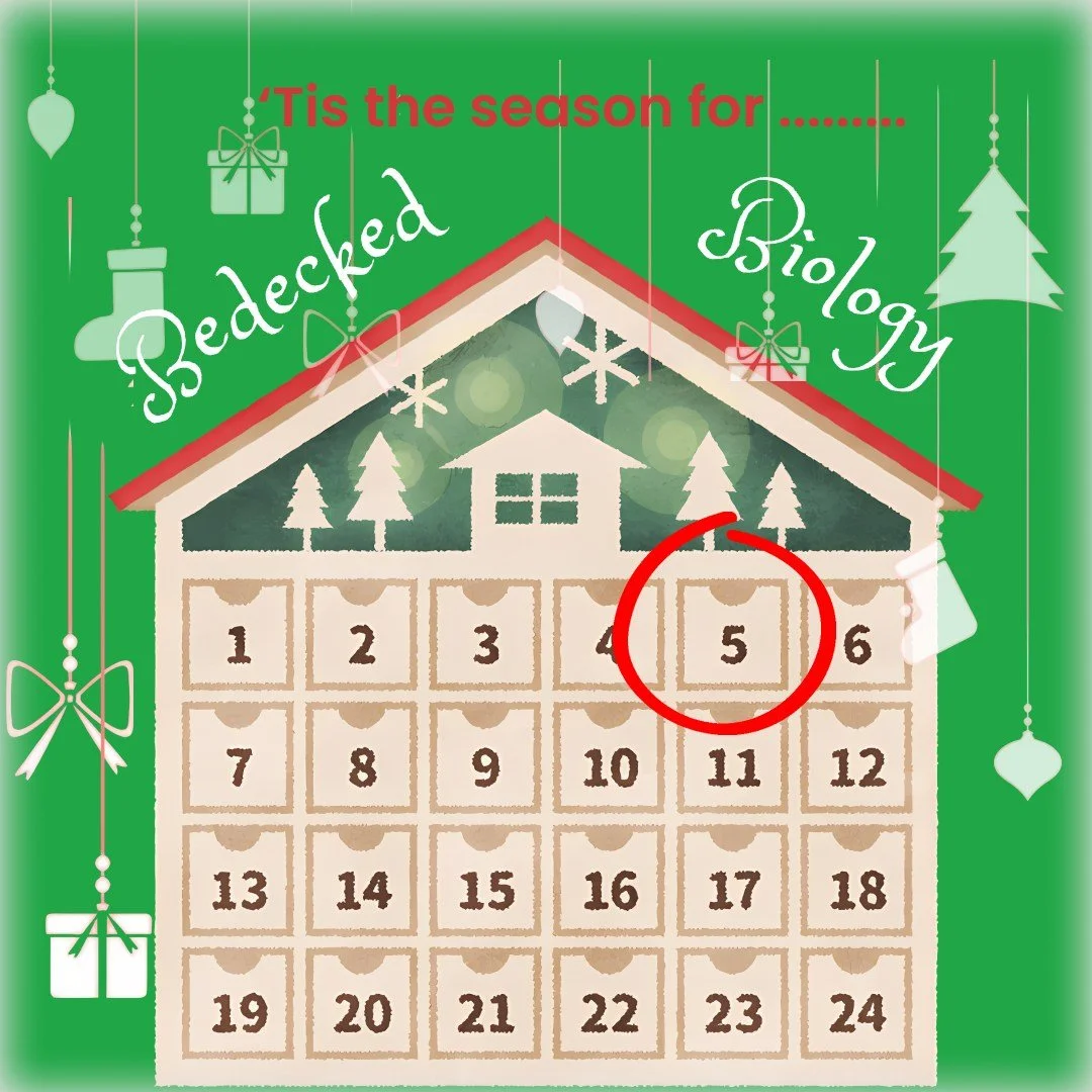 🦃 Turkey is popular here in the UK for Christmas dinner- but where did this tradition come from?

🍗 It was explorer William Strickland who brought back the birds from the New World in the mid-1500s, and King Henry VIII was the first monarch to enjo