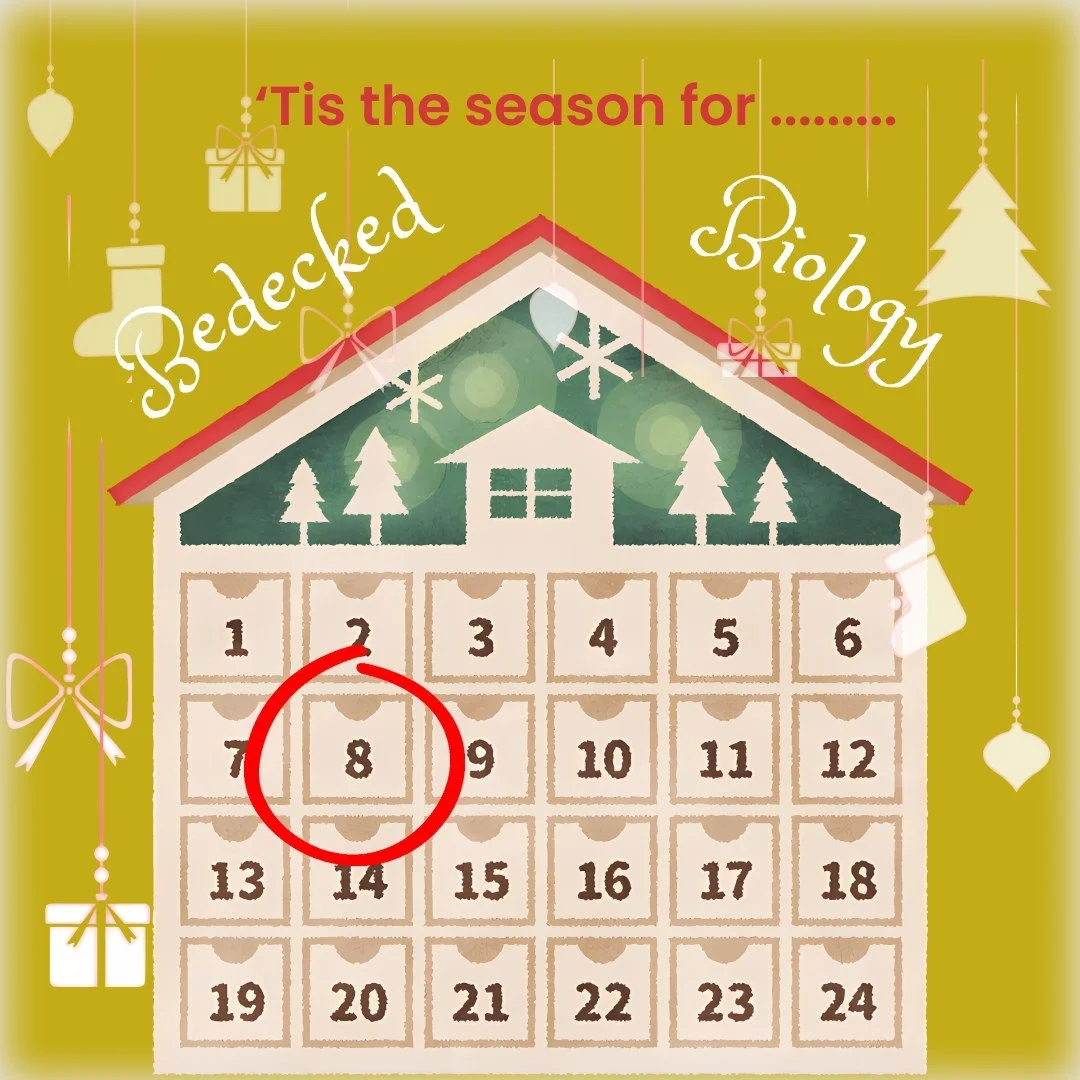 😘 You may think that kissing under the mistletoe is a fairly sweet Christmas tradition but mistletoe is also called a vampire plant! This is because it's a parasite that sucks the nutrients and water from its host.🧛

☠️🤮 It is also an effective po