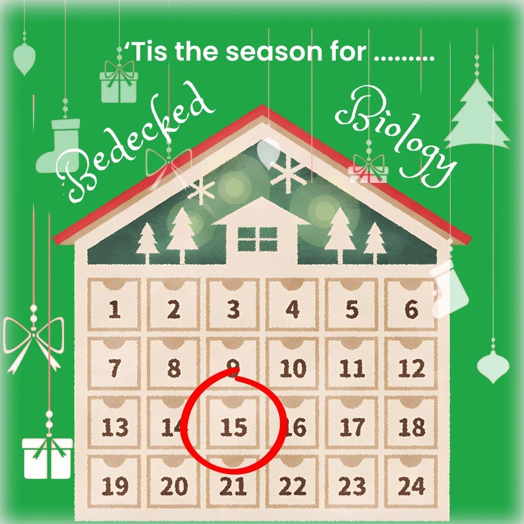 🫏 ⭐️ It is 10 days until the big day and we are celebrating today with one of our favourite animals.
Here is a joke for you:

⭐️Why did the donkey get invited to every Christmas party?
⭐️ Because he always brings the &ldquo;heehaw-liday&rdquo; cheer