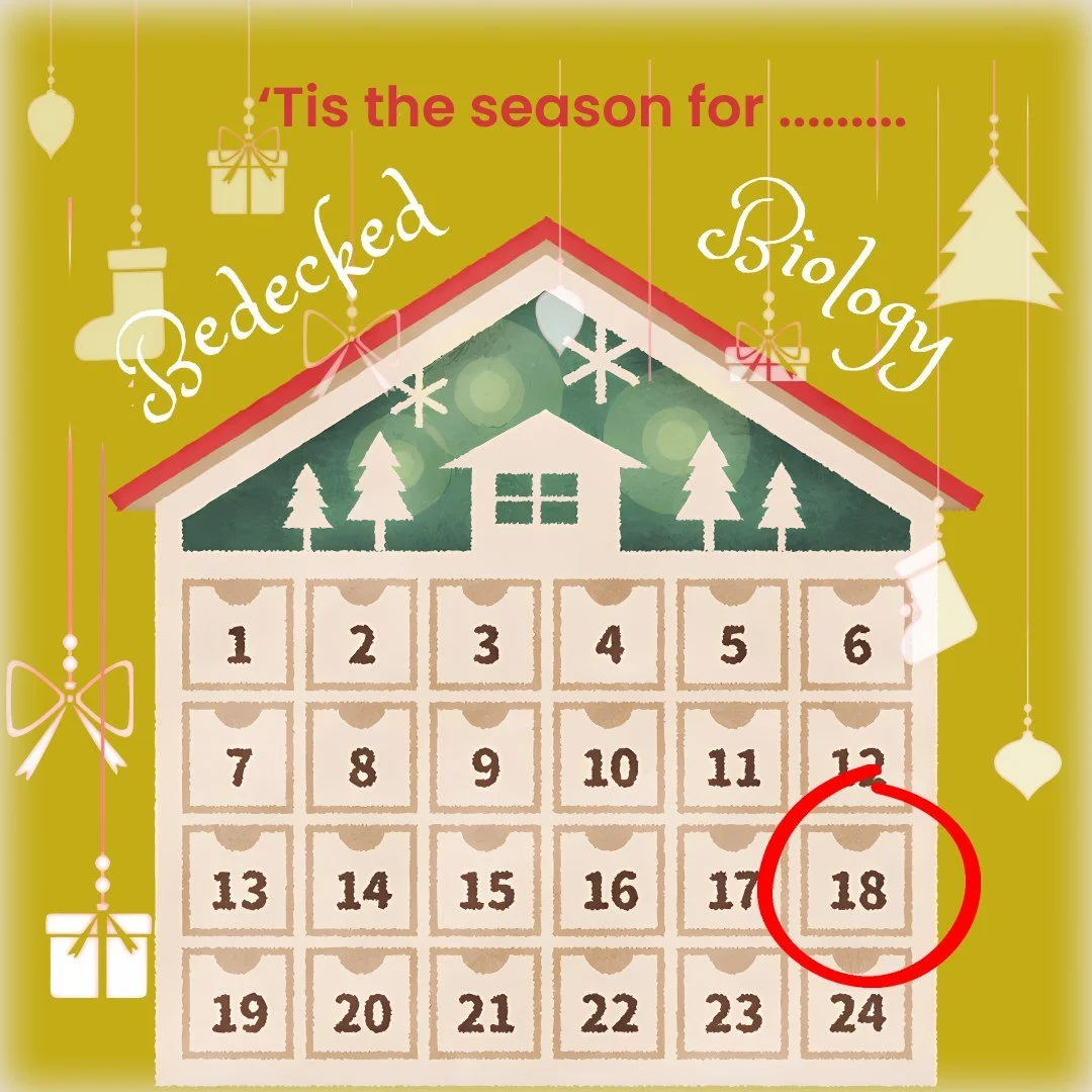 ✍🏼The current record-holder for the smallest Christmas card is extremely tiny, far smaller than the width of a human hair. It measures 15 x 20 micrometres and was made in the UK in 2017 using advanced nanotechnology.

⚠️ Warning&hellip;.. Science jo