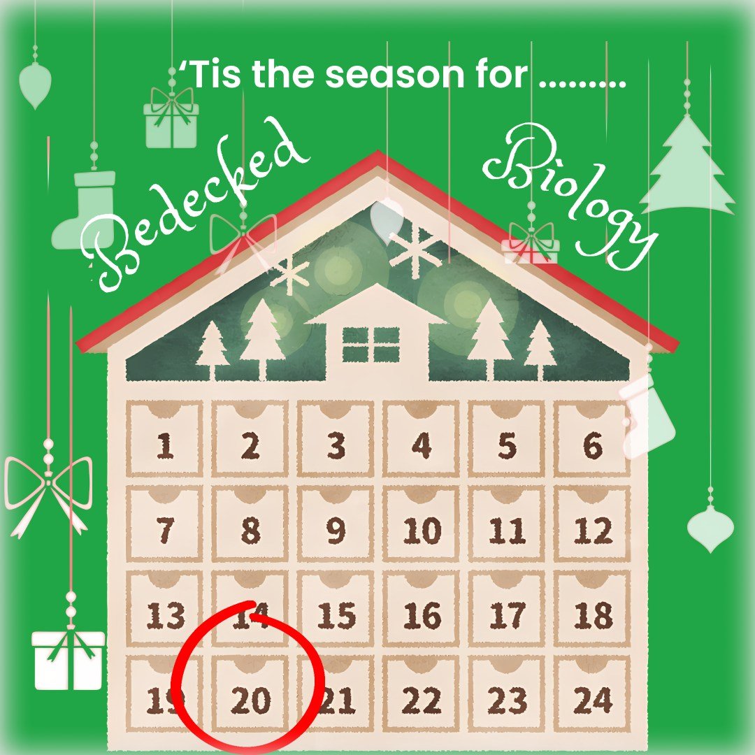 🦌🛷Only 5 more sleeps to go! Today we celebrate reindeer and their red noses- we have always had a soft spot for underdog Rudolph - although we worry he could cause traffic problems for Santa as he has his rear light on the front! 🔴

You nose it ma