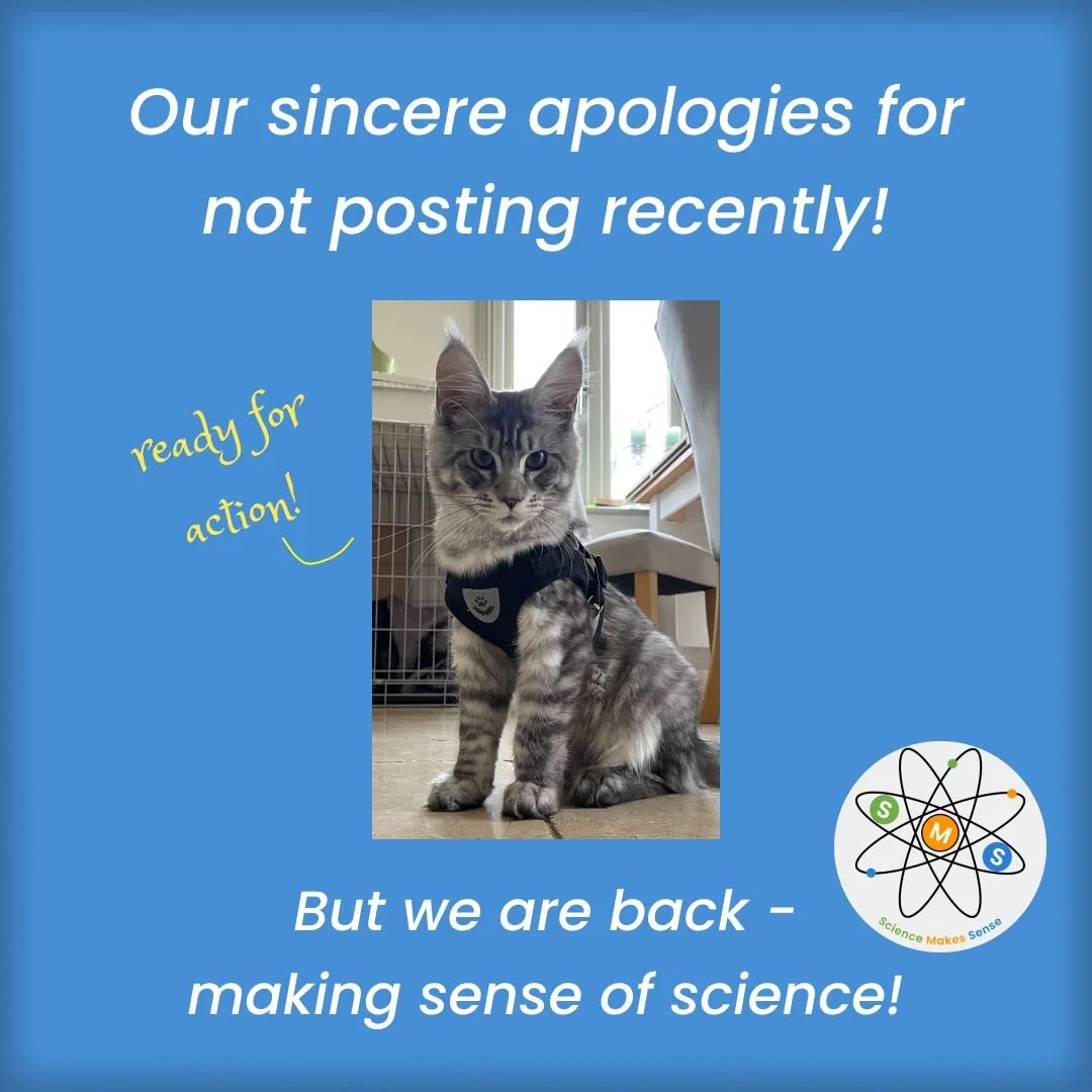 We know we have been a bit quiet recently- but it's not as though anything big has been happening in science  like transporting antimatter, discovering new dinosaurs or visiting the moon! ⚛🦖🚀

Oh really? 

Well we had better get back to it. 😂

✏️ 