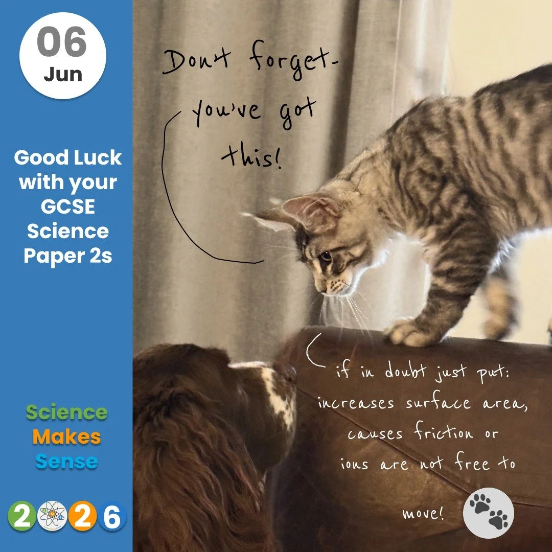😊 This is for everyone currently doing their Science GCSEs - not long to go now!

Everyone at Science Makes Sense (including Merlin the Maine Coon and Ferris our Springer) wishes you the very best of luck! 🍀🍀🍀🍀🍀🍀🍀
.
.
.
#revision #science #gc
