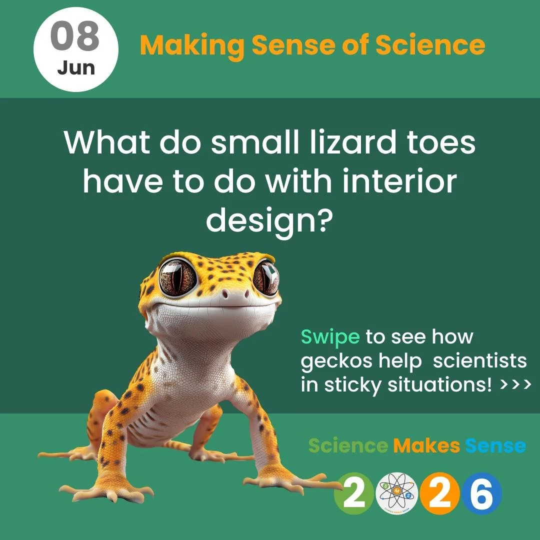 🌎 Biomimicry is the use of ideas from nature to solve human problems in design and engineering - in other words, nature got there first!

🦎Here at Science Makes Sense we would like to highlight some of these innovations starting with gecko tape! 

