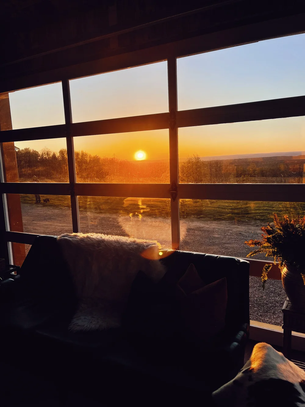 View from living room at sunrise.