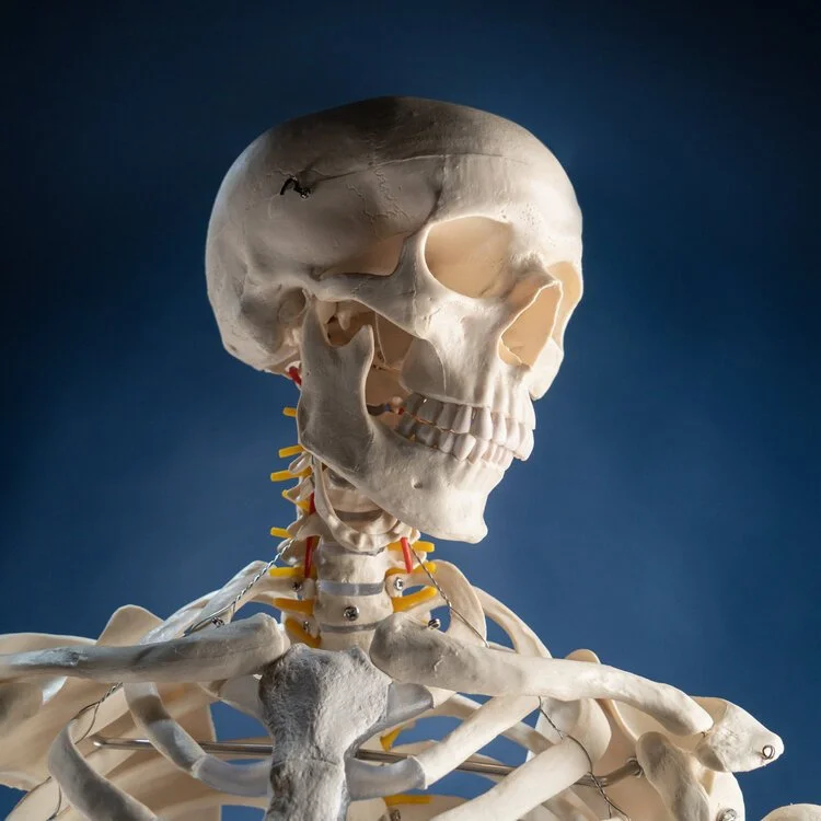 Health Guide Content Photography