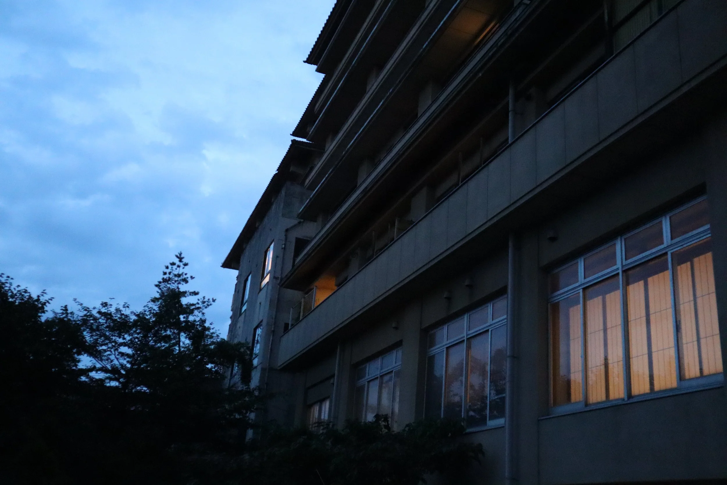 37 website and insta.JPG