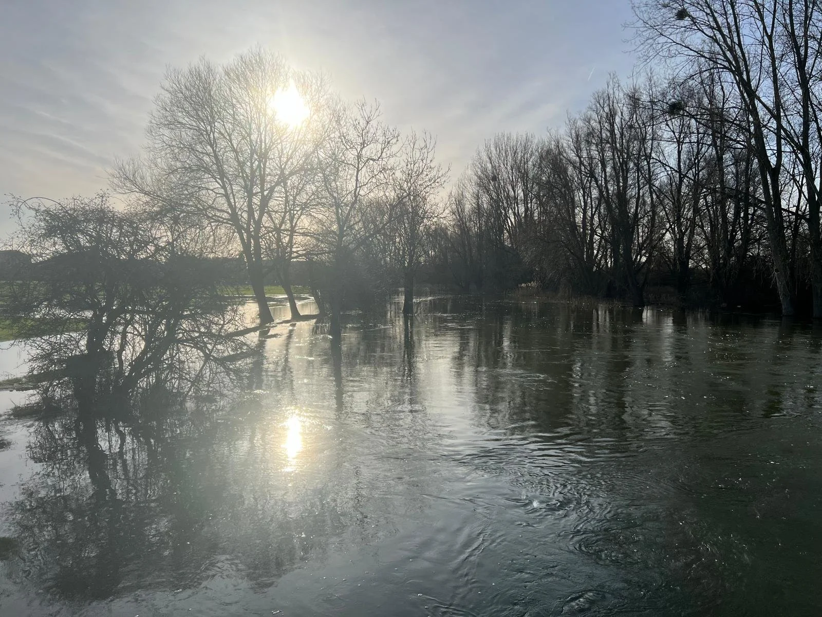 Newsletter March 2026