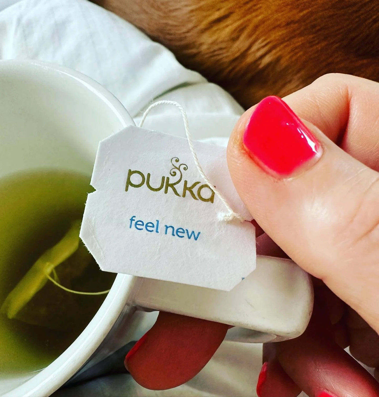 I am ready to feel new
I am ready to create a wave not just a ripple! 
And would love you to join me on my journey to living my most powerful life 

&ldquo;About 330 billion cells are replaced daily, equivalent to about 1 percent of all our cells. In