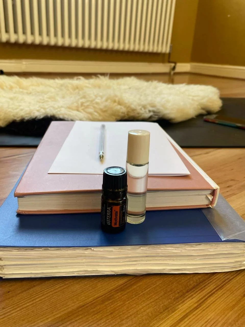 WhatsApp Image 2025-05-01 at 4.25.43 PM.jpeg