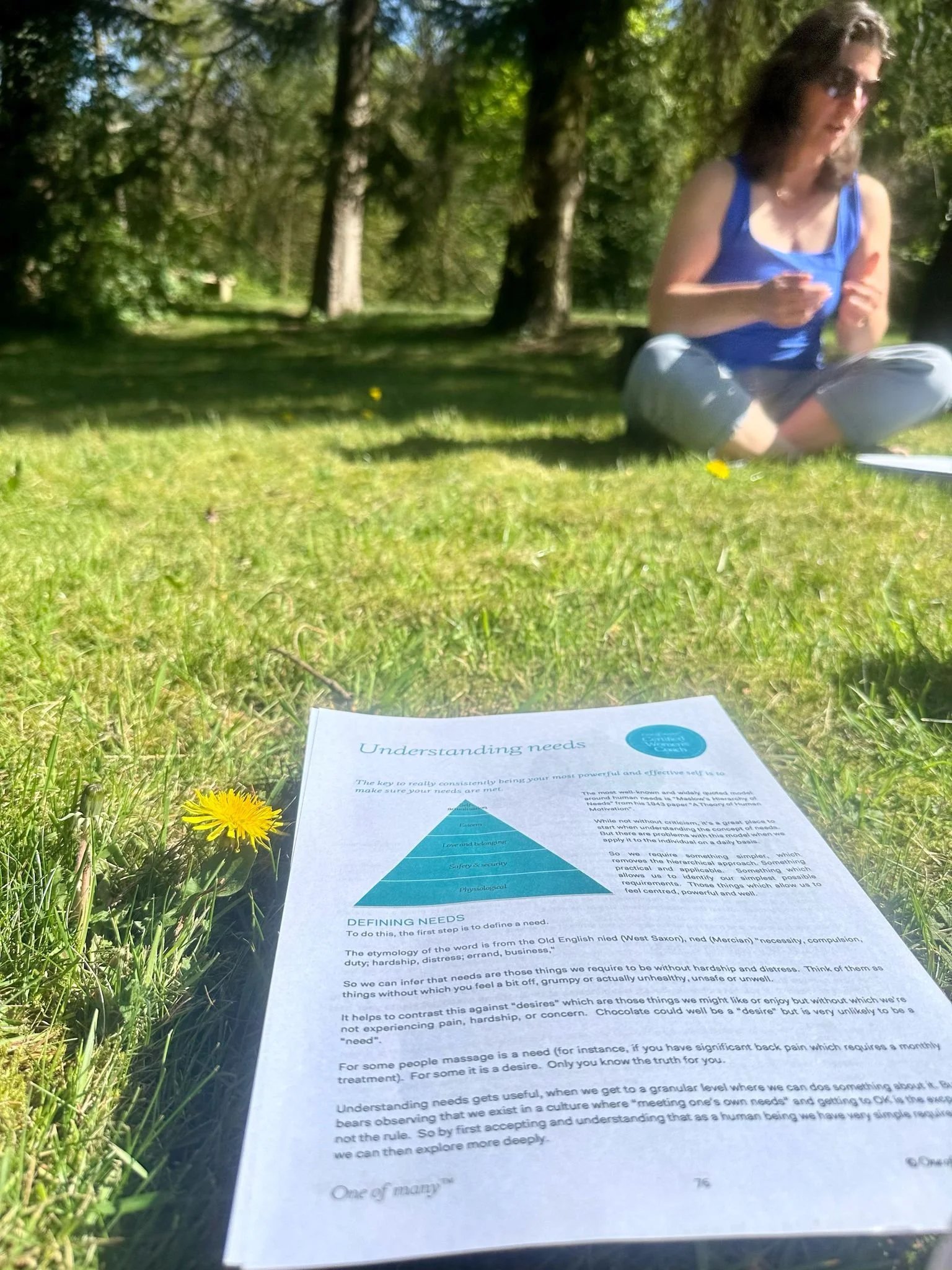 WhatsApp Image 2025-05-01 at 11.22.41 AM.jpeg