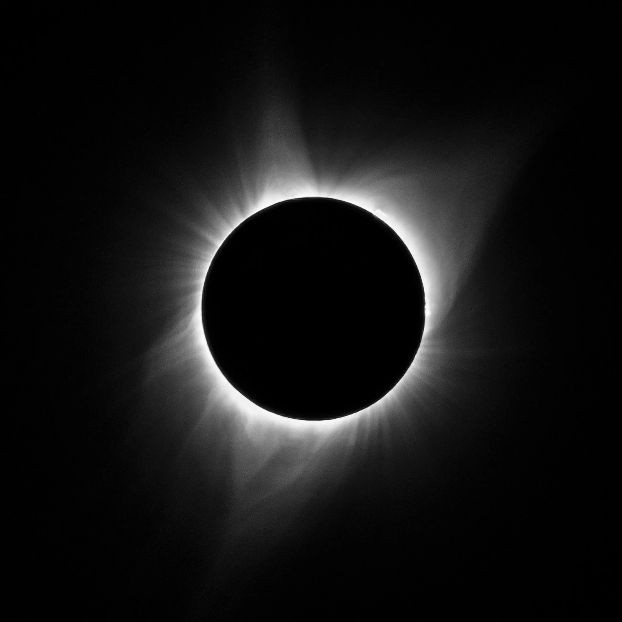 Eclipse Corona.jpg