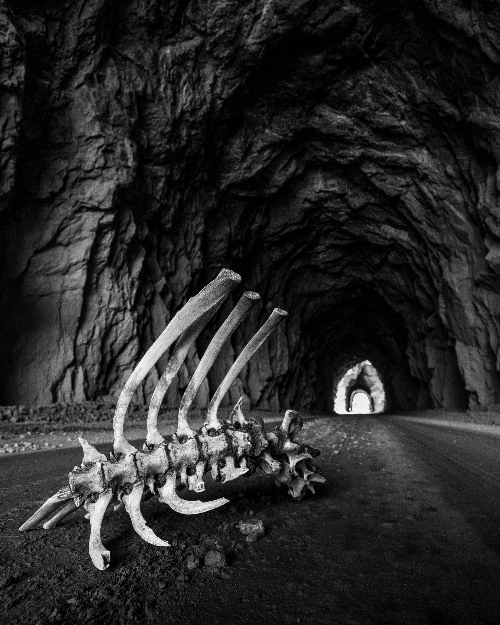 CO to NM_2019_02.jpg