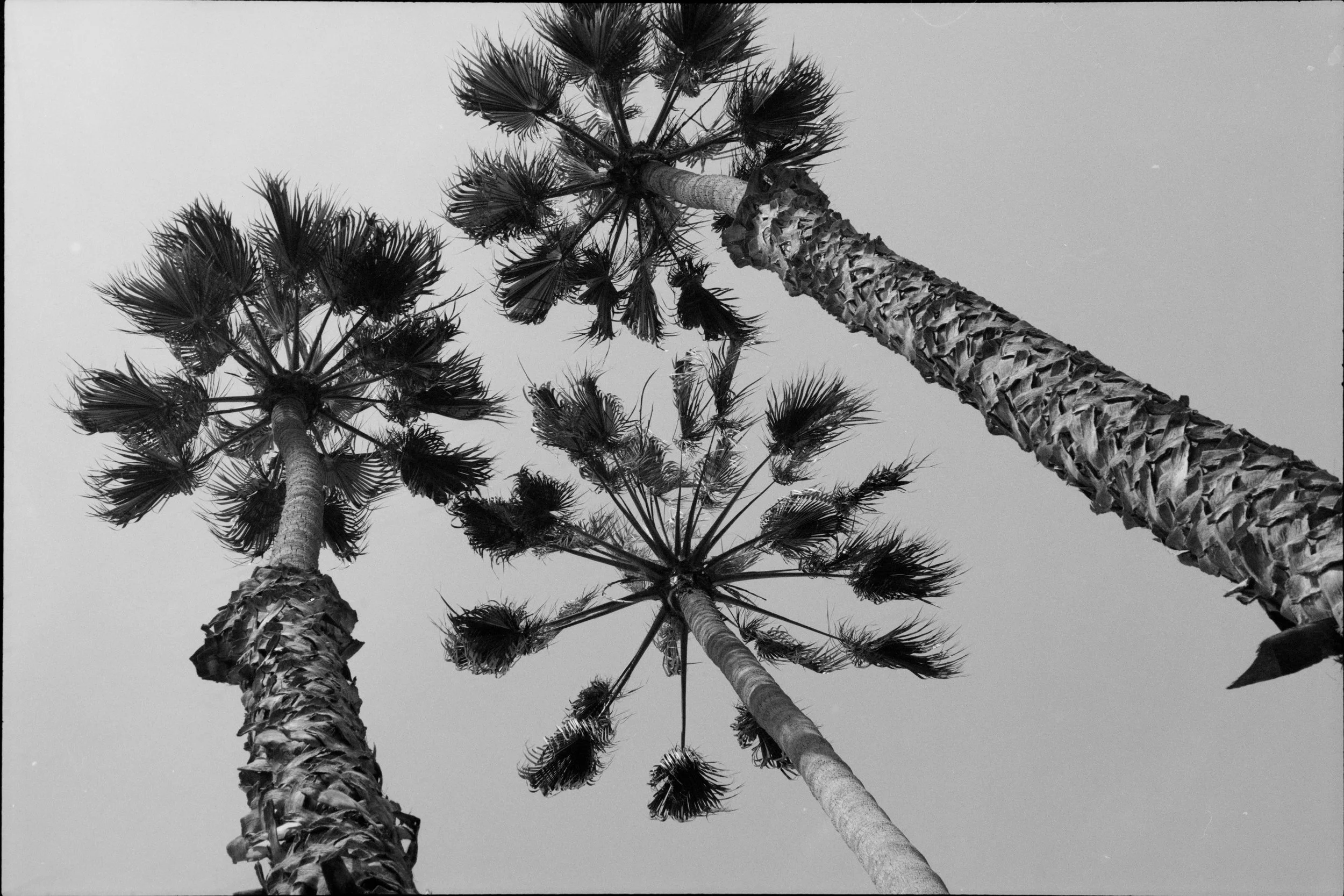 filmscans_10.28_1033 3.jpg