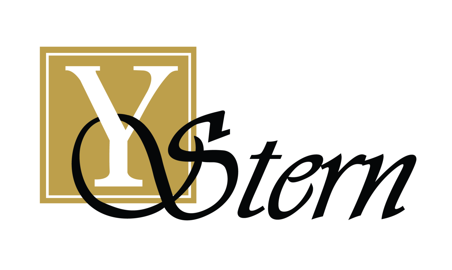 Y. Stern String Instruments