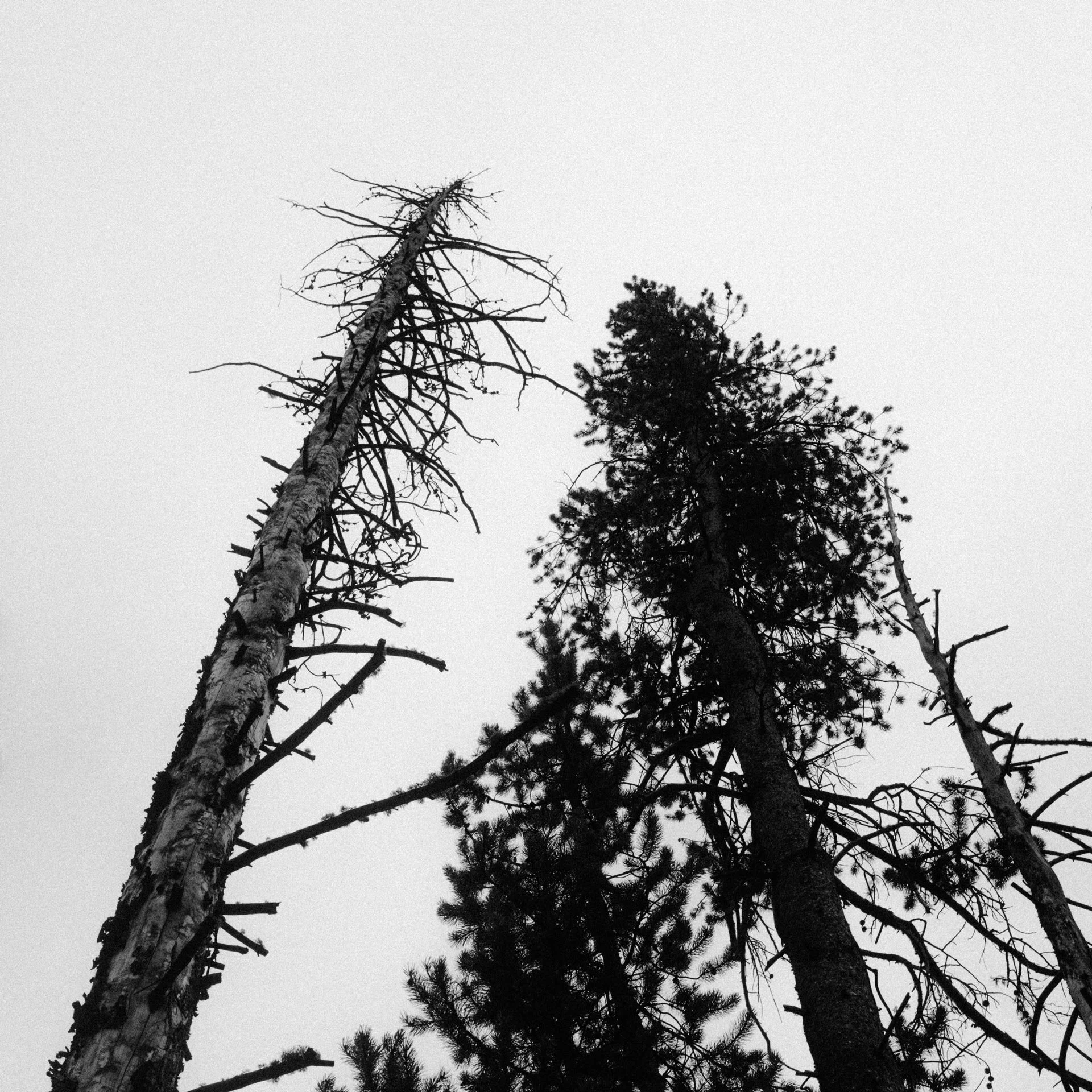 20190928-105-4301.jpg
