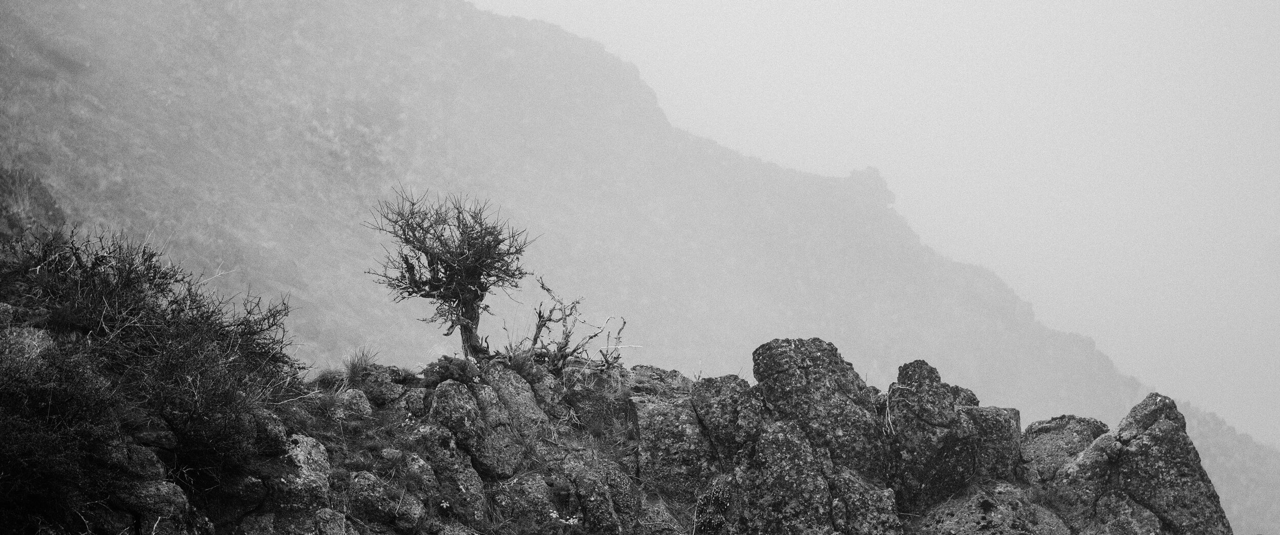 Mist