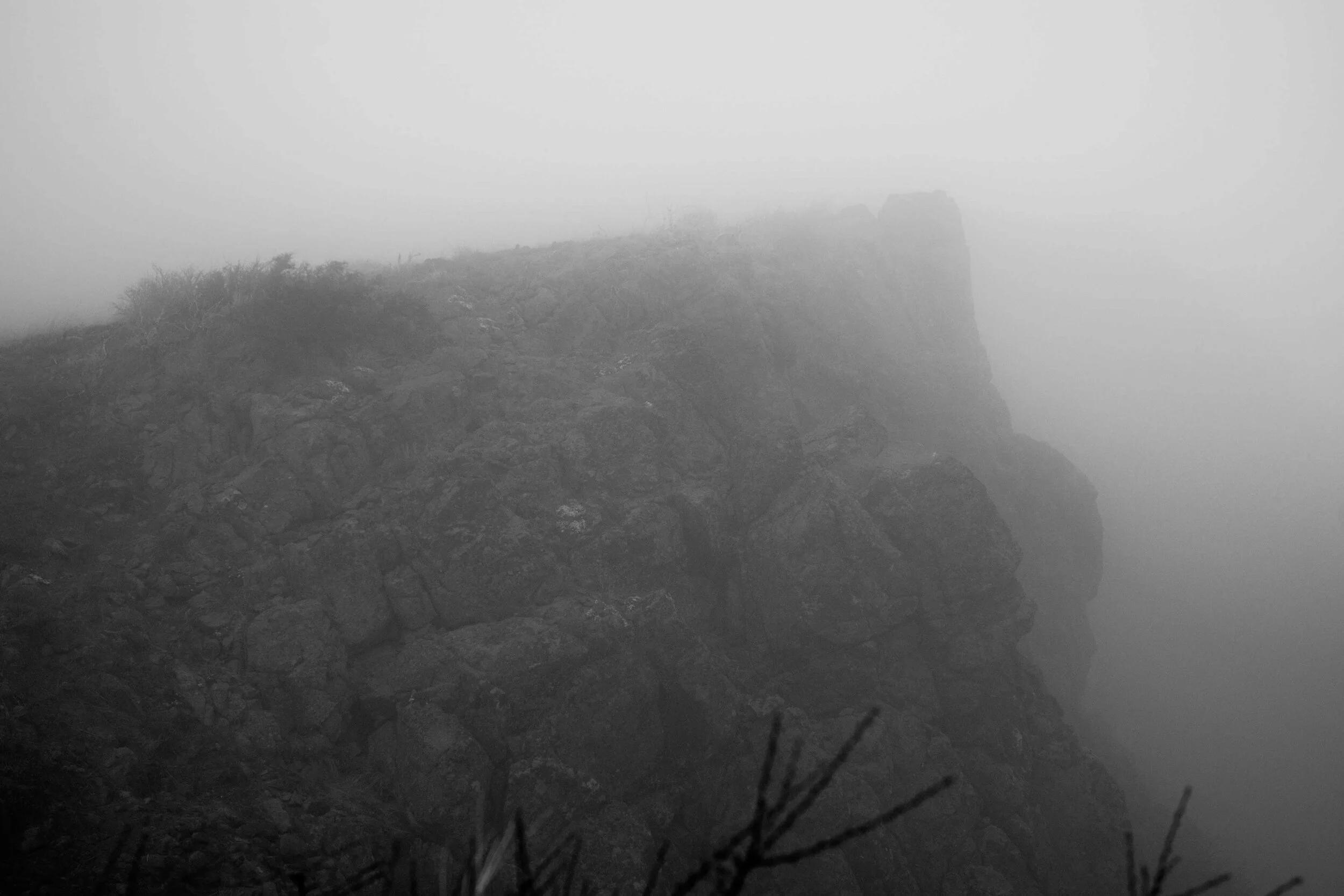 20210424-80-5260-Edit.jpg